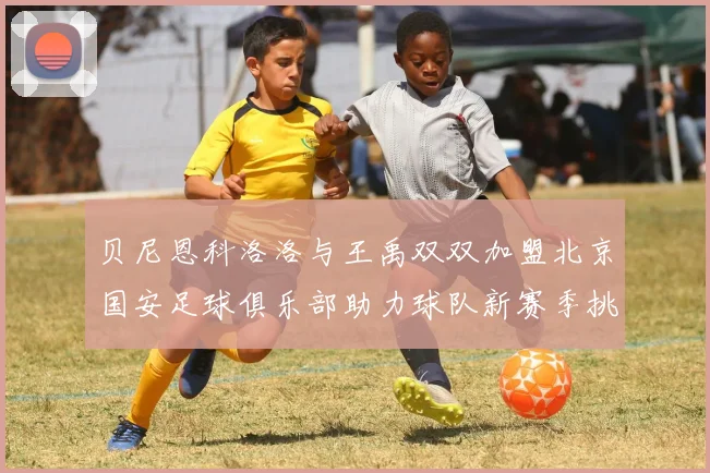 贝尼恩科洛洛与王禹双双加盟北京国安足球俱乐部助力球队新赛季挑战