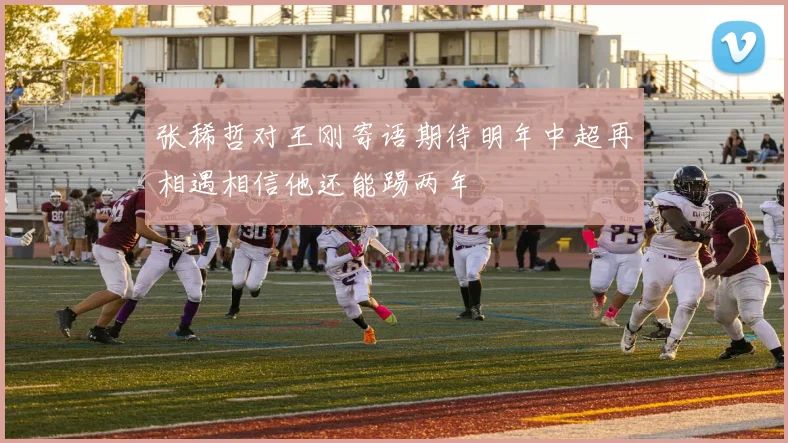 张稀哲对王刚寄语期待明年中超再相遇相信他还能踢两年