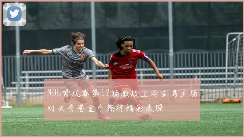 NBL常规赛第12场激战上海玄鸟主场对决香港金牛期待精彩表现